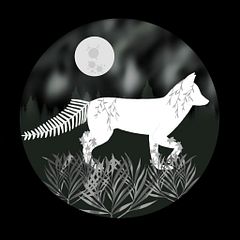 SilverFern__