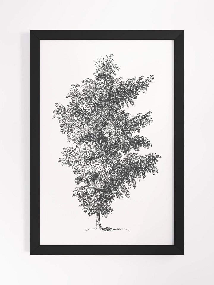 Woodland Trees #1 Framed Print product image (1)