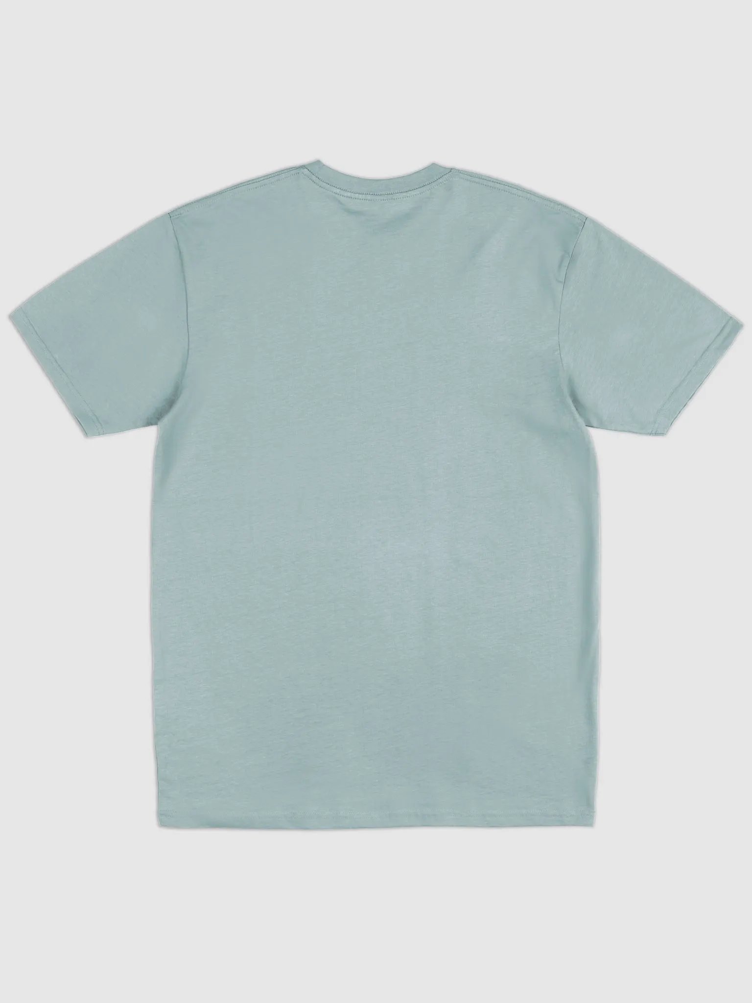 Cotton Heritage Men's Premium Heavyweight Tee : Me vs t. rex product image (20)