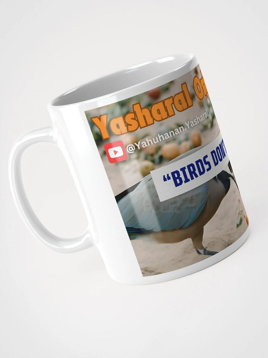Yasharal Original Music: Birds Dont Have A Job Mug product image (4)