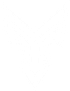 Yota