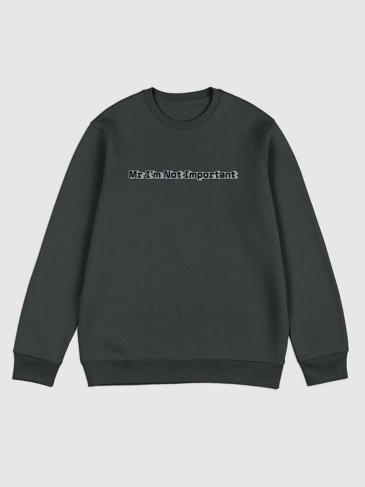 Unisex Eco Sweatshirt - Mr I'm Not Important product image (1)