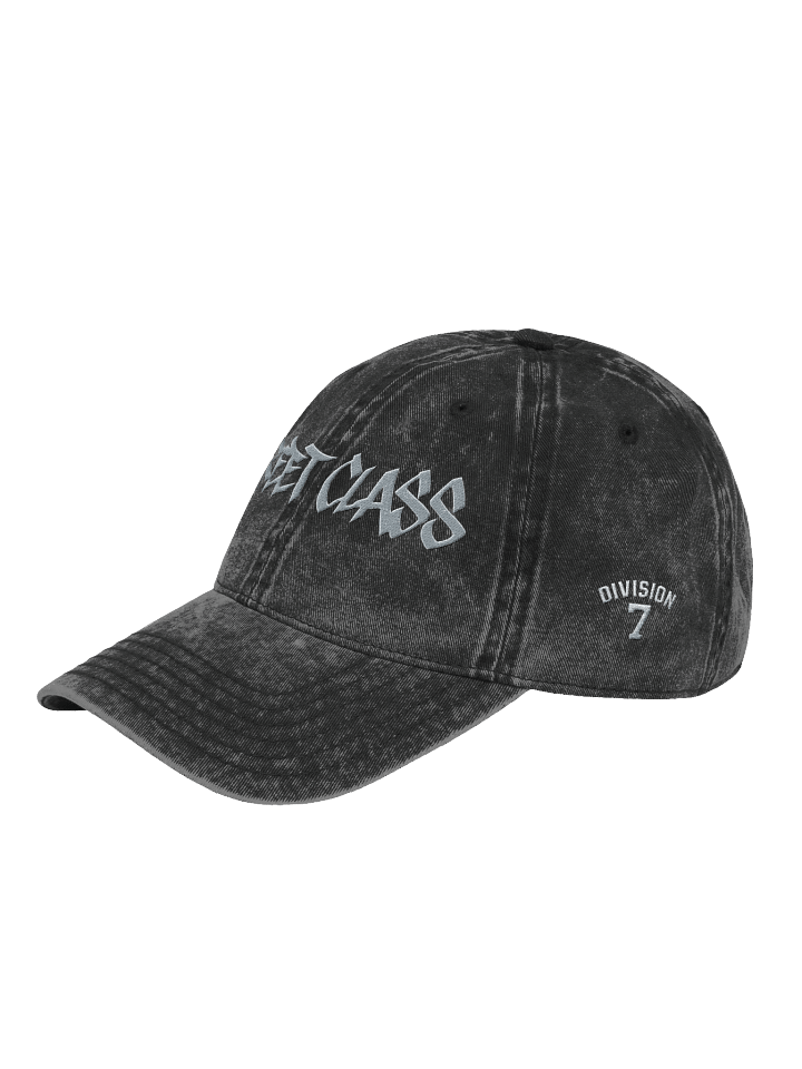 DIVISION 7 DAD HAT product image (2)