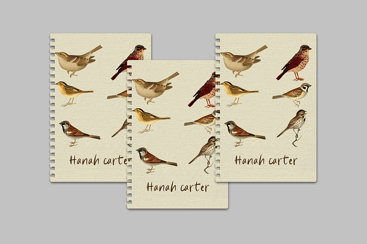 Sparrow: Notebook Cover Canva Template product image (1)