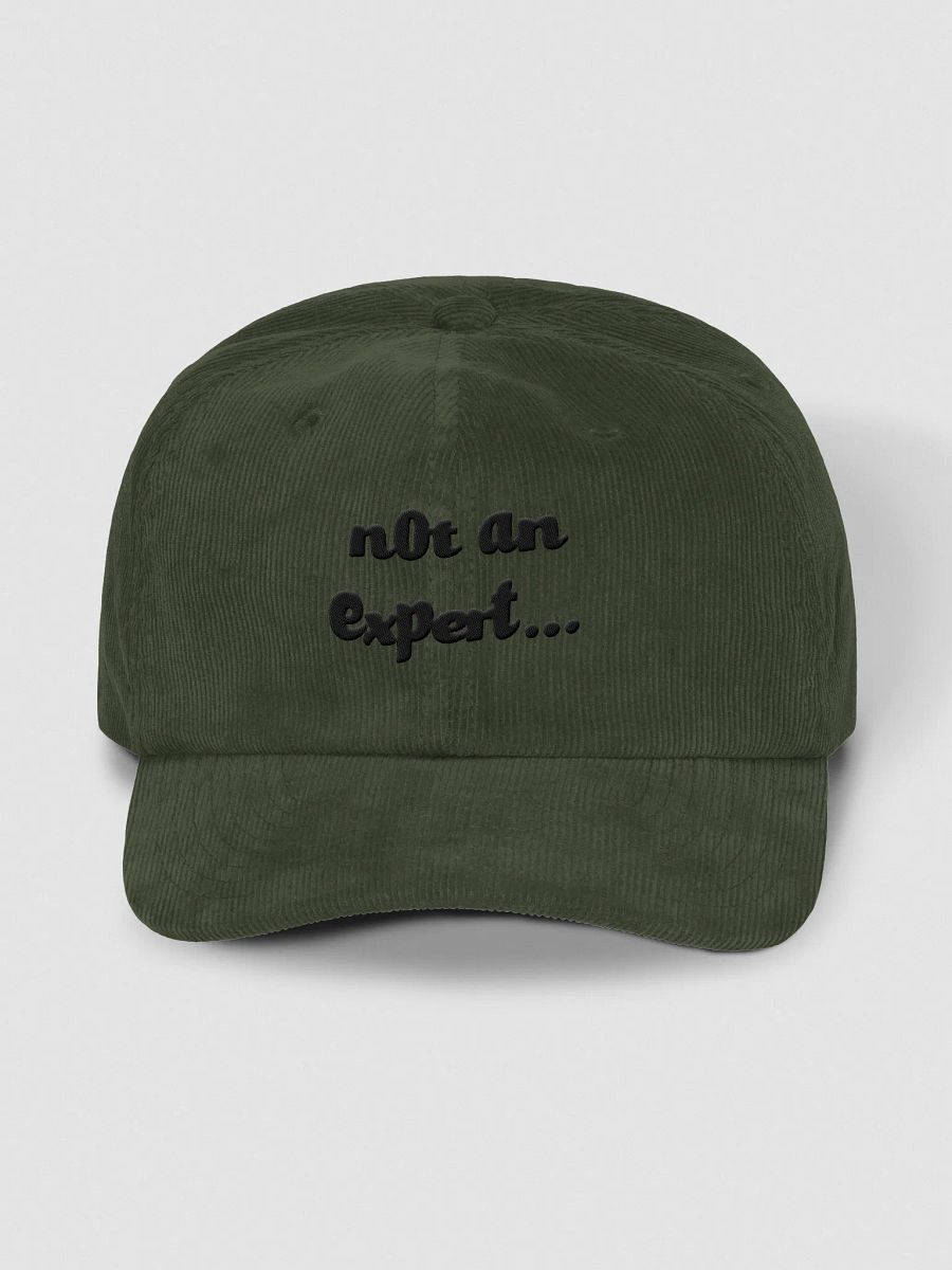 "not an expert..." Camel Corduroy Cap product image (9)