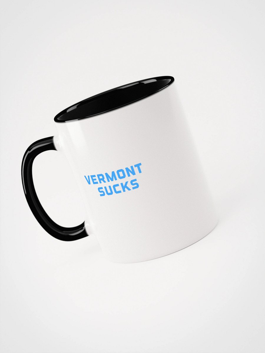 Vermont Sucks Mug product image (35)