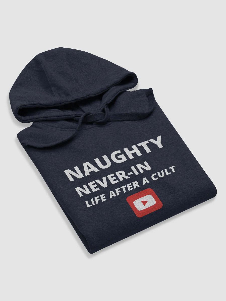 Naughty Never-In Hoodie - Black product image (5)