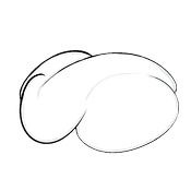 CloudyMuse