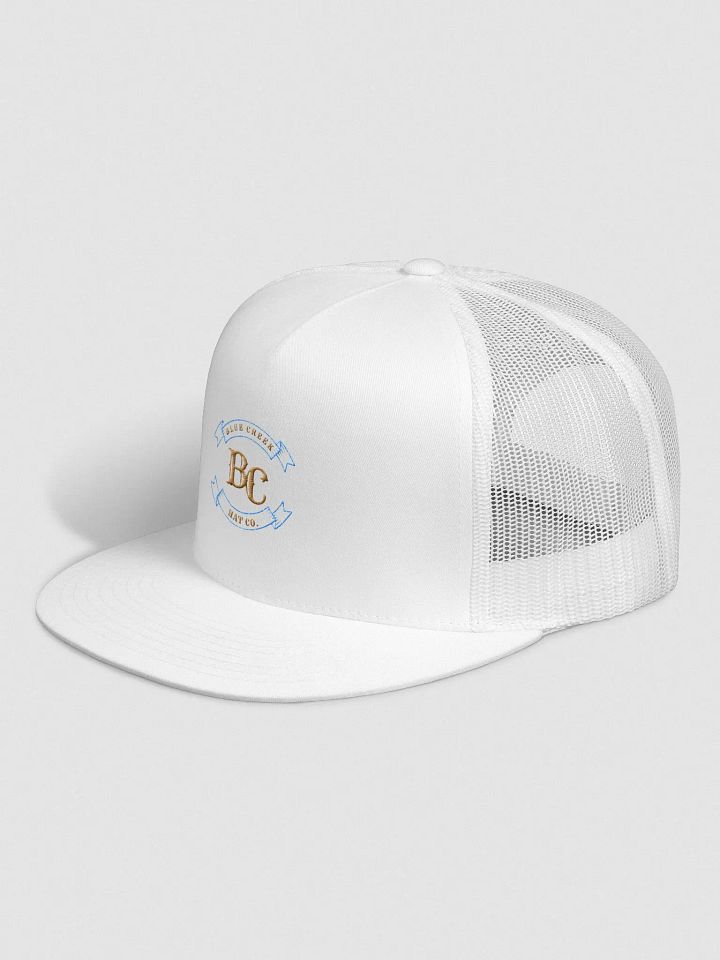 Branded product image (2)