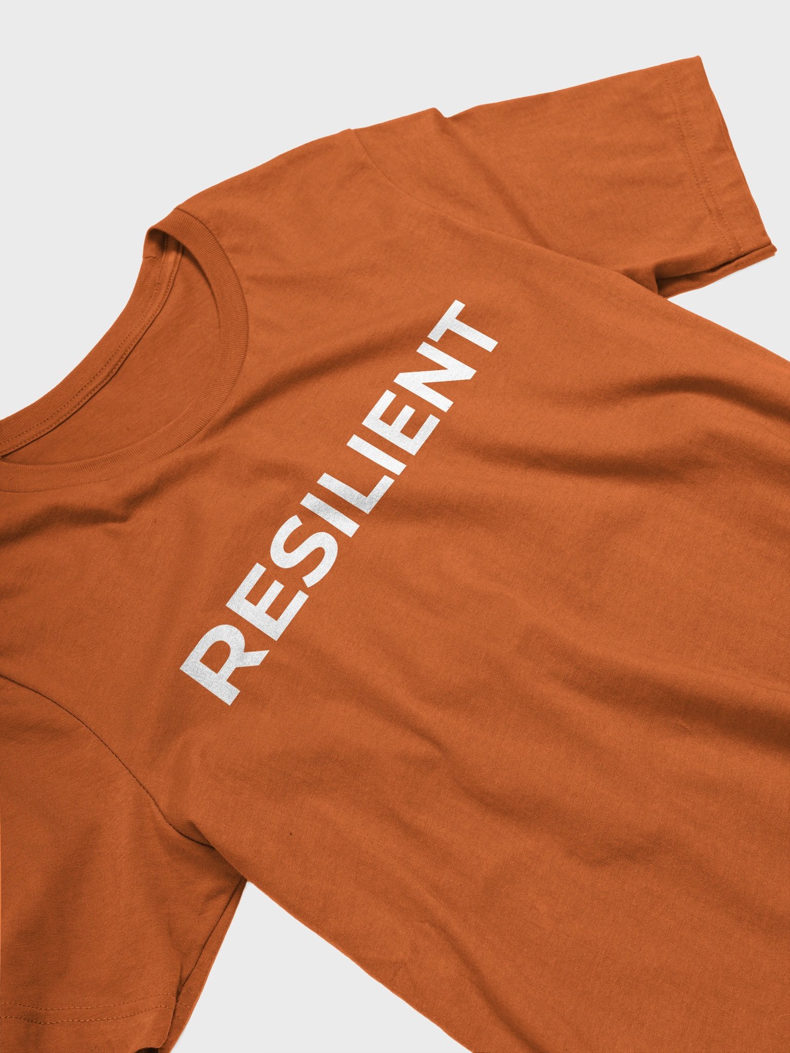 RESILIENT Human - Fall Shirt product image (26)