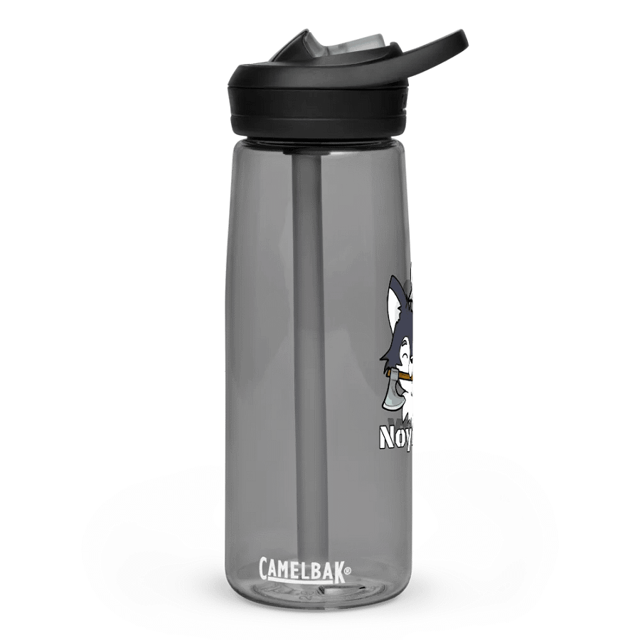 The Amadeus Raider Camelbak Water Bottle product image (20)