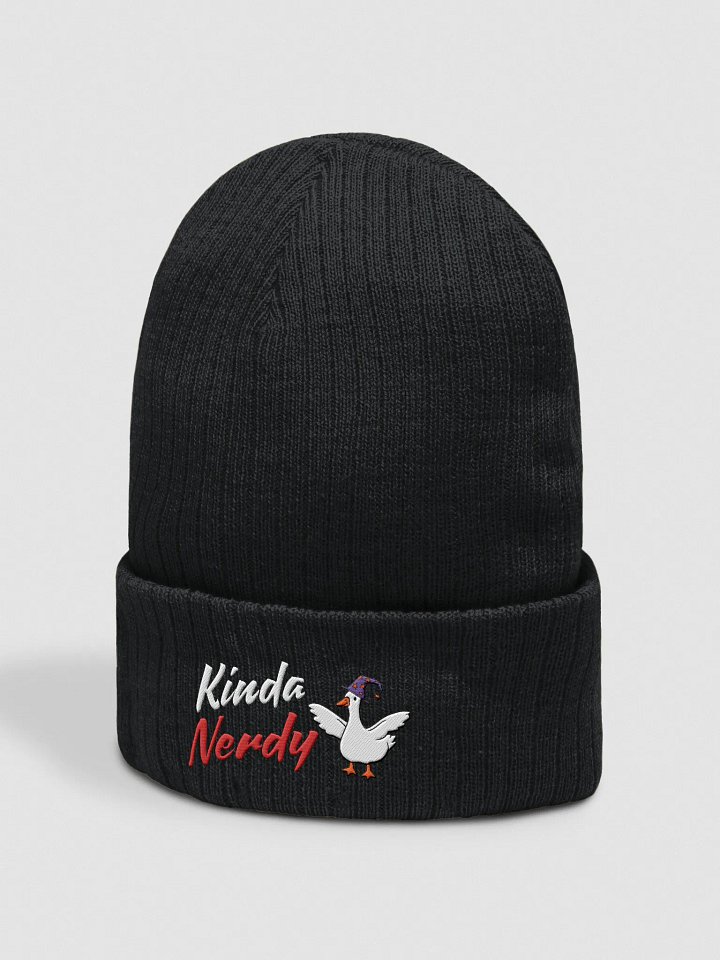 Kinda Nerdy Beanie product image (6)