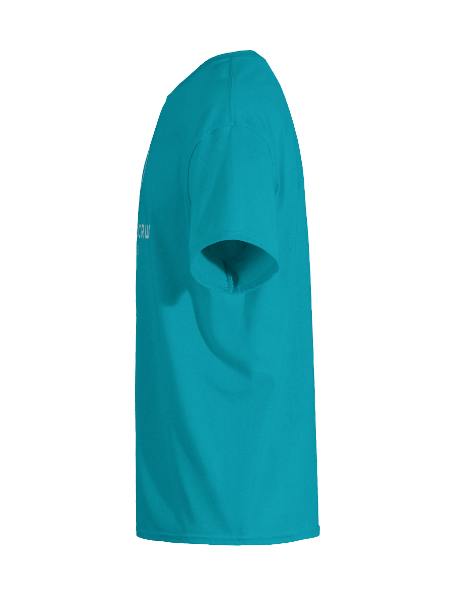 Team BRWCRW Est. 2025 T-shirt product image (70)