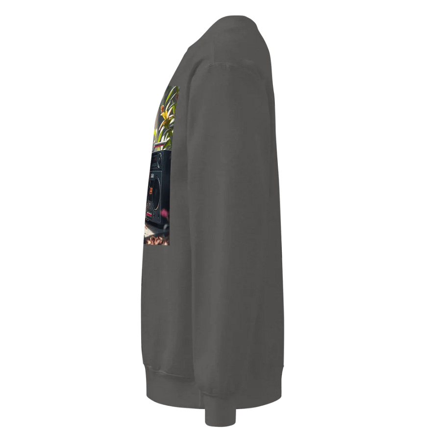 Zabu Boombox Sweatshirt product image (7)