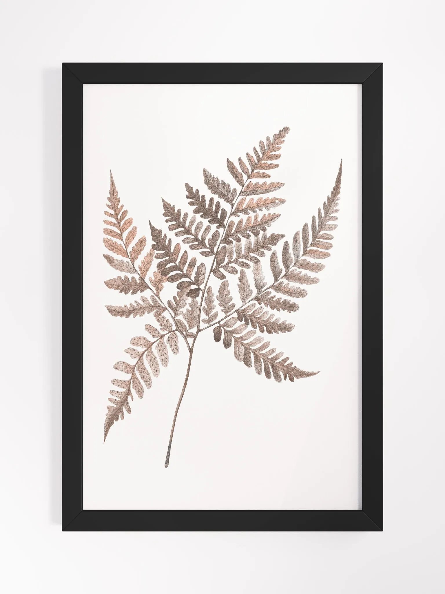 Ecotone Fern #3 Framed Print product image (1)