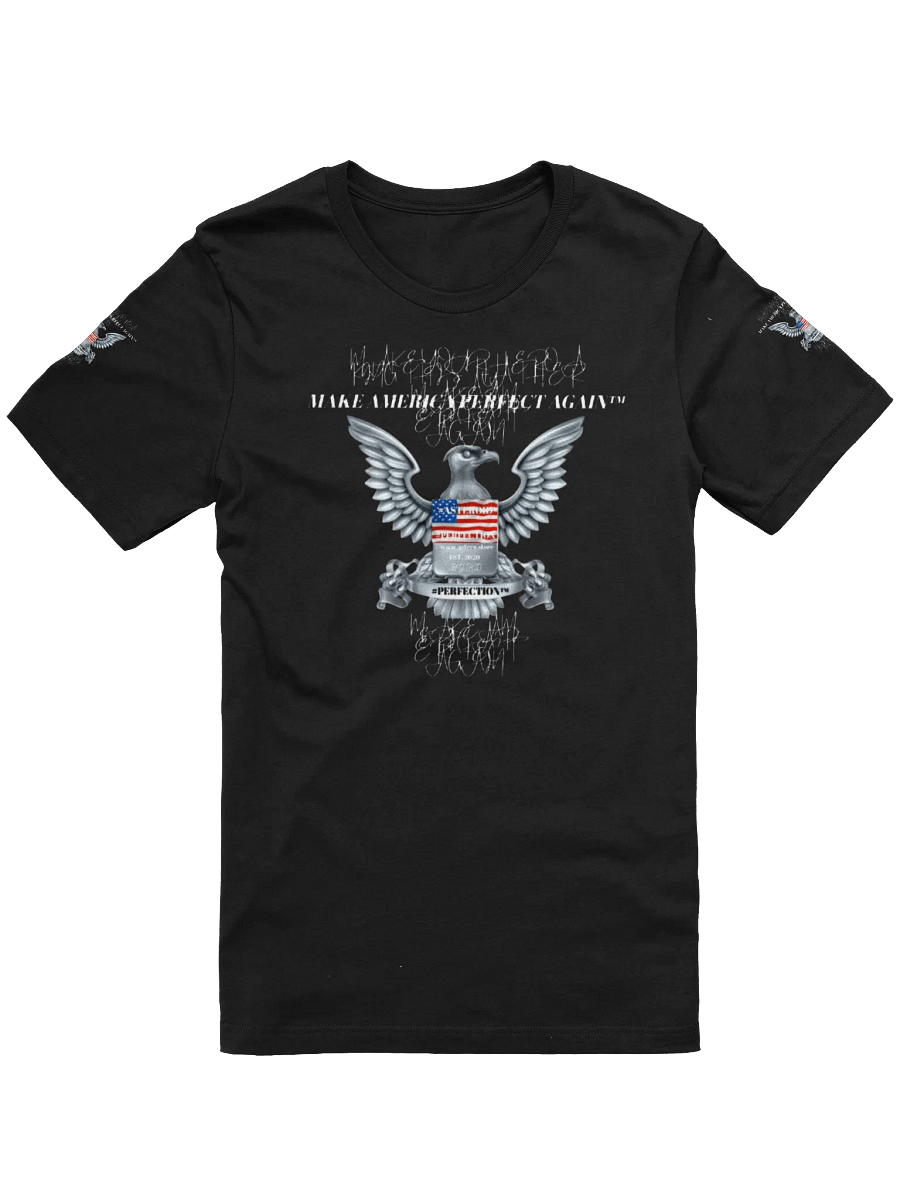 MAPA-MAKE AMERICA PERFECT AGAIN T-SHIRT product image (11)