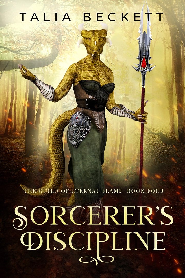 Sorcerer's Discipline - signed paperback product image (1)