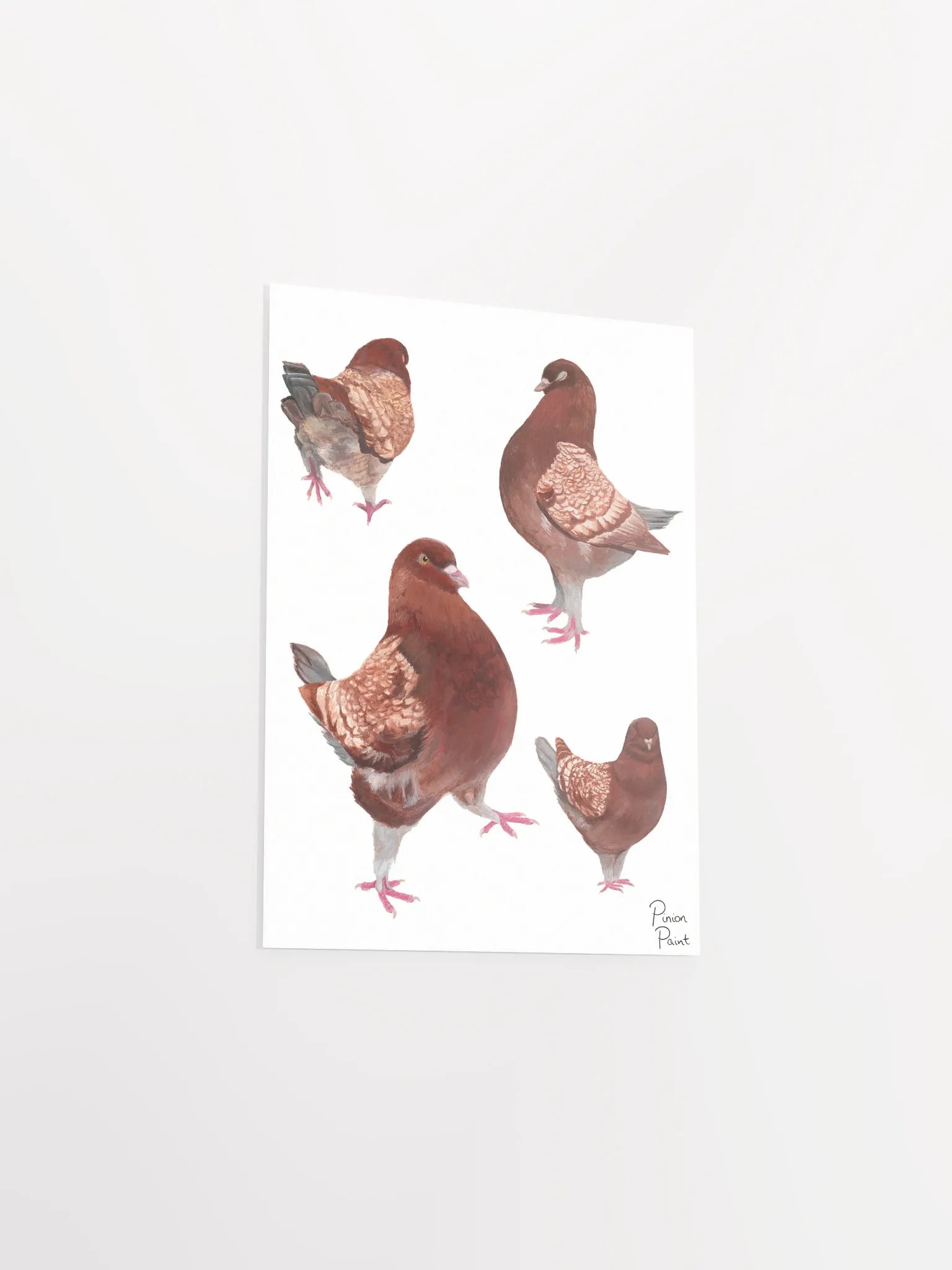 Merlot pigeon print product image (3)