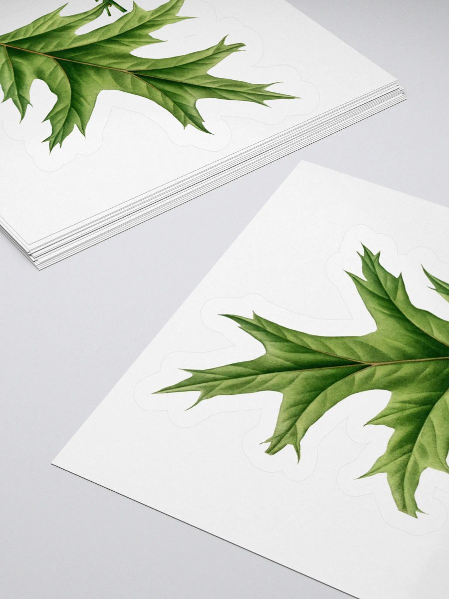Red Oak Sticker product image (4)