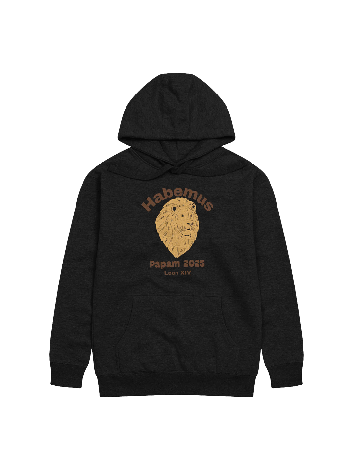 Habemus Papam 2025 Leo XIV Hoodie product image (1)
