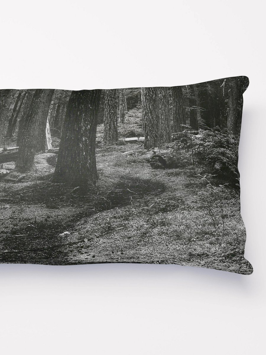 Hiking in the Buckhorn Wilderness Pillow product image (2)