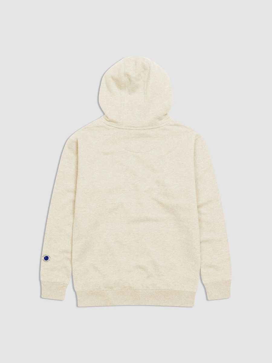 Merry Everything and Happy Always Hoodie product image (15)