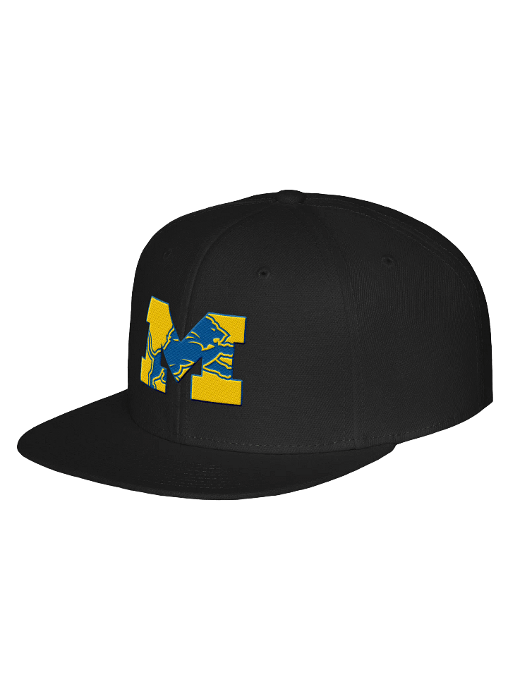 Michigan Lions Snap product image (2)