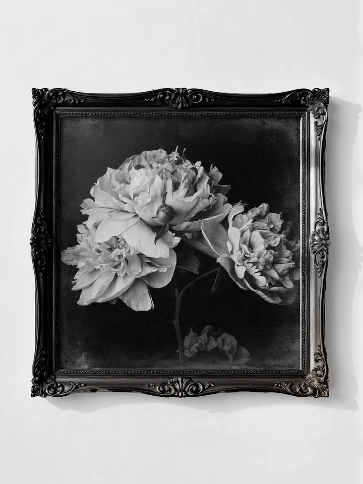 Spring Peonies, Vintage Black & White Square (Printable) product image (1)