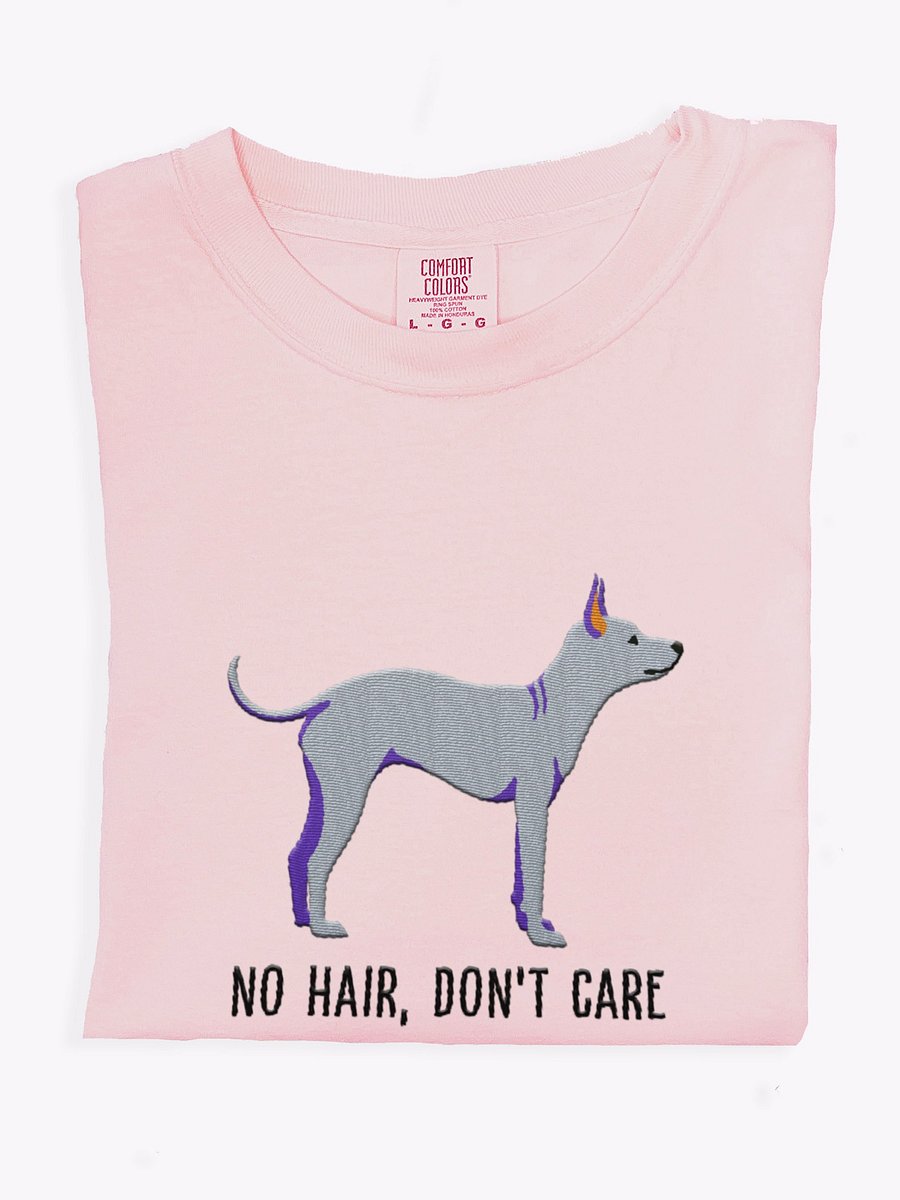 No Hair, Don't Care T-Shirt(Embroidered) of an American Hairless Terrier(Gray) product image (1)