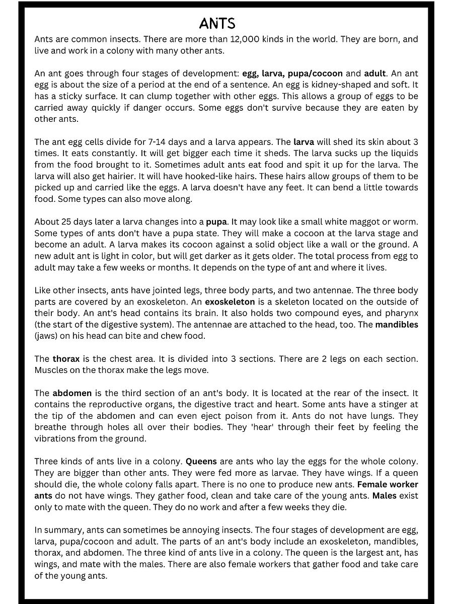 Ants Reading Comprehension Worksheet product image (2)