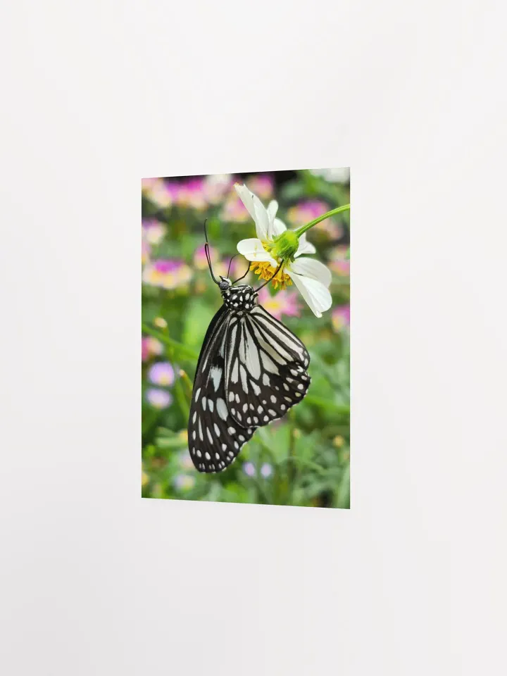 Tropical Paper Kite Butterfly Matte Poster #2 5x7" product image (2)