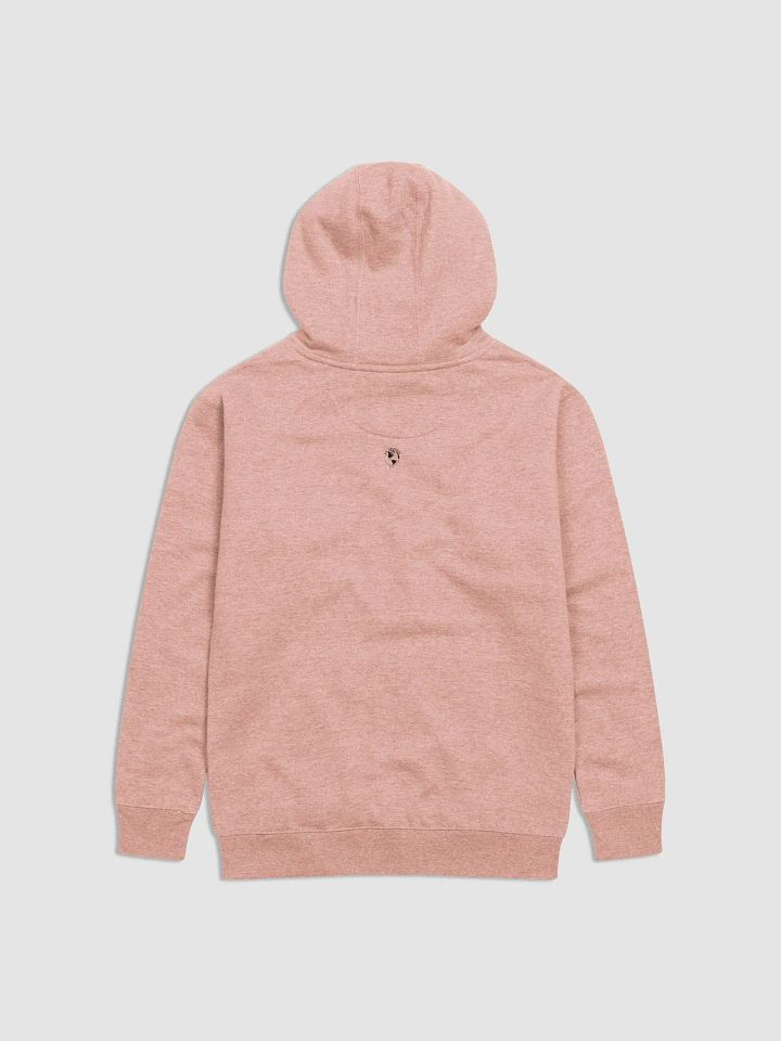 BI PLANE HOODIE product image (4)