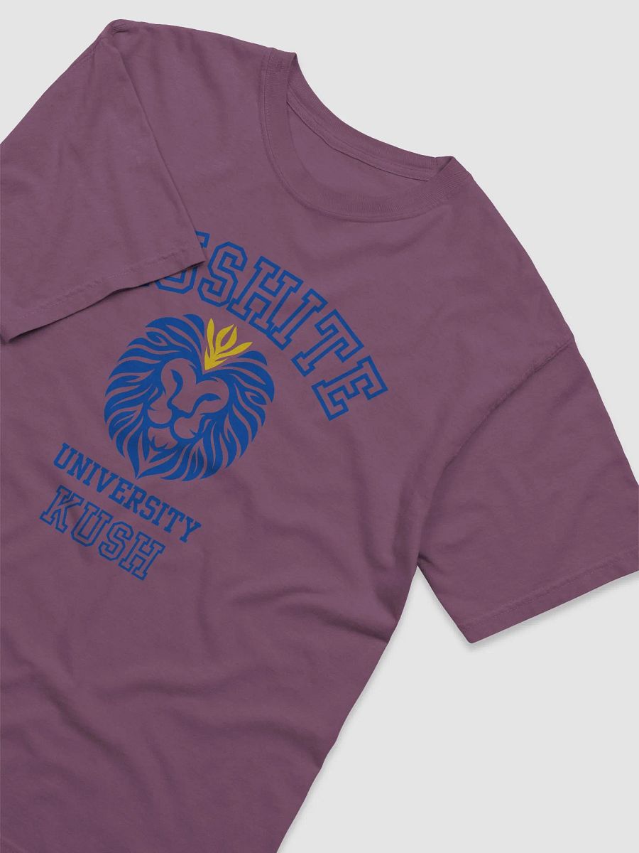Kushite University product image (3)