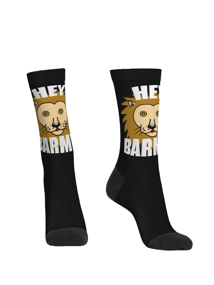 Hey Barmby Socks product image (2)