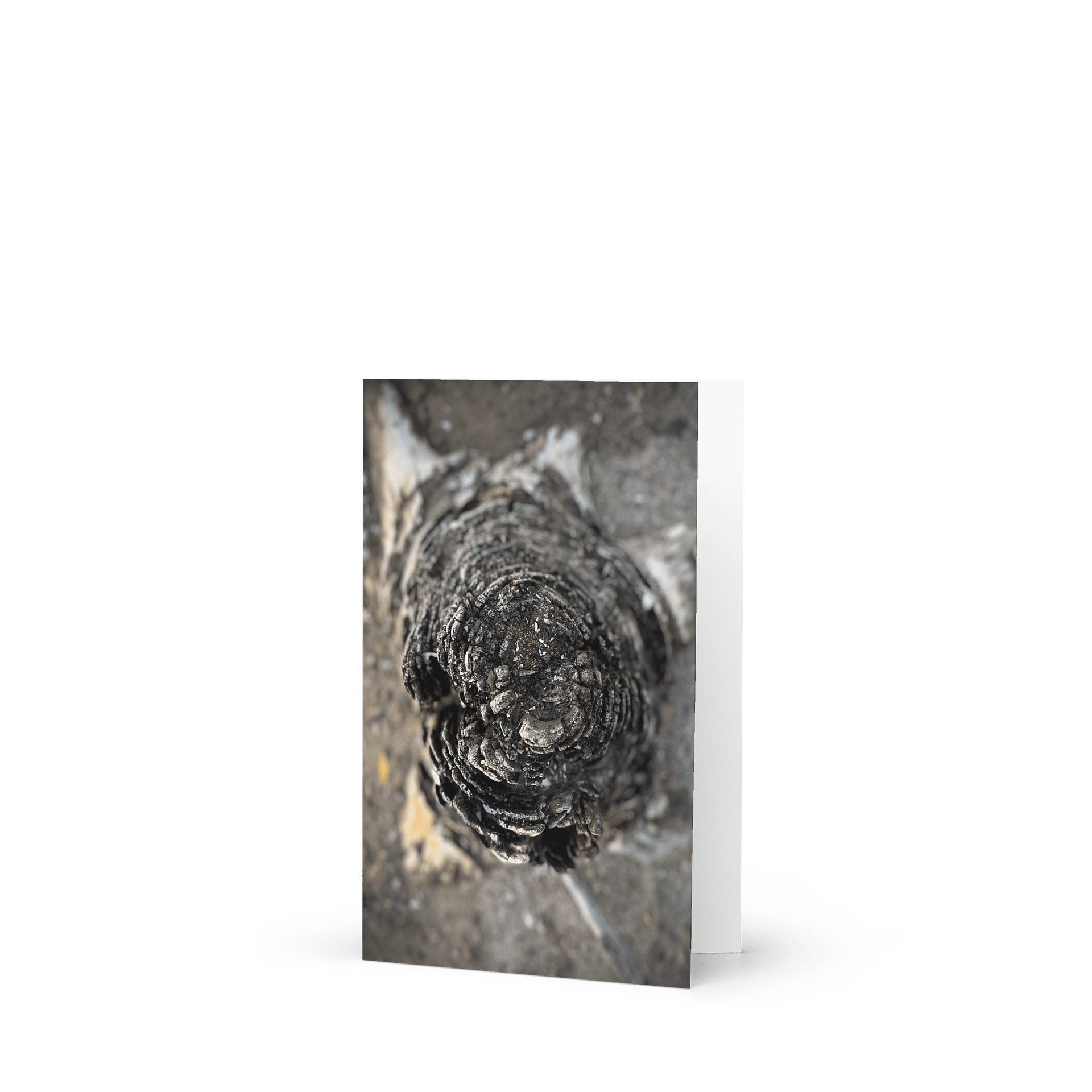 Weathered Wisdom Greeting Card product image (1)