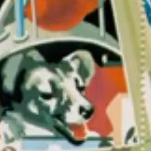 The #spacerace RIP #laika