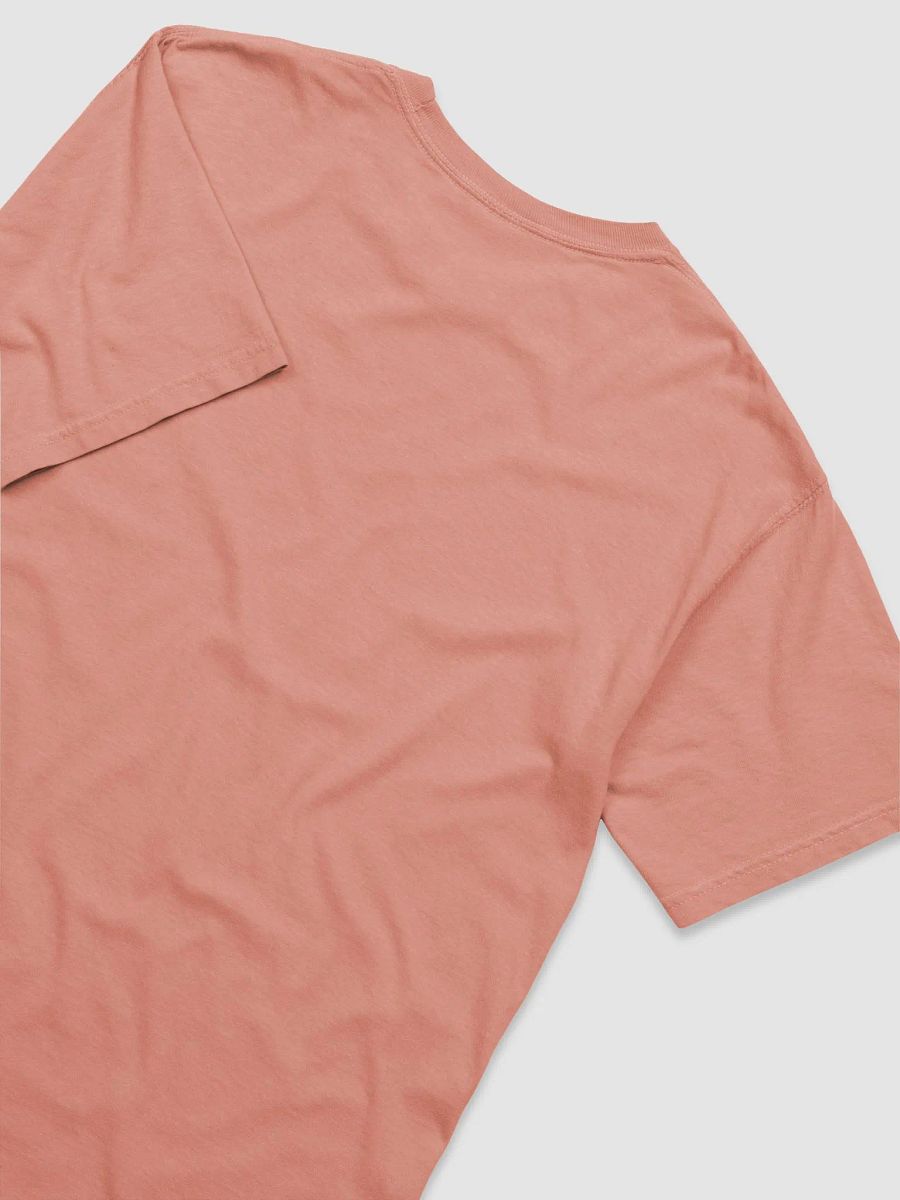 Sassy Persian Rainbow T-Shirt product image (4)