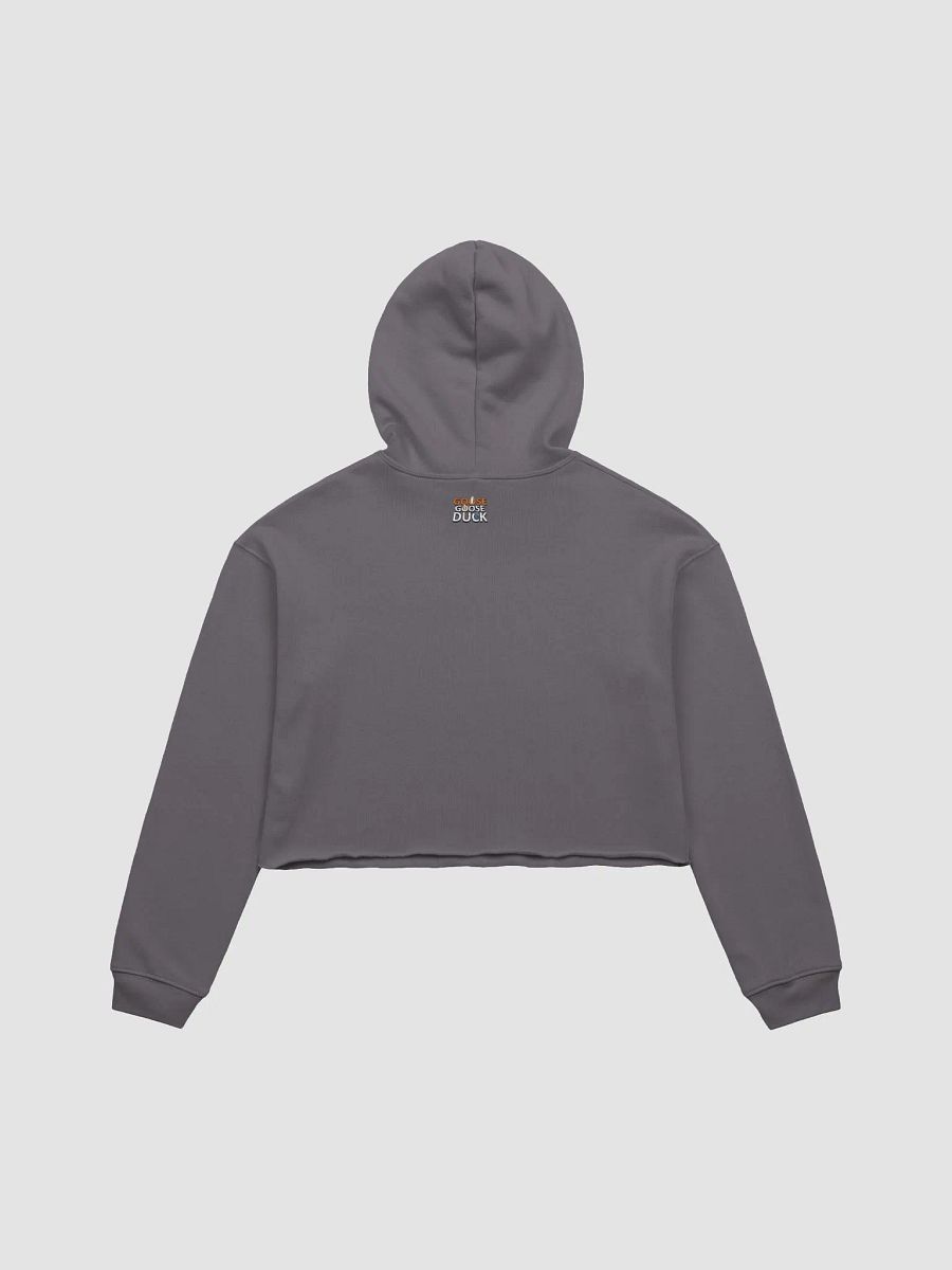 Spicy Flavoured Crop Hoodie product image (3)
