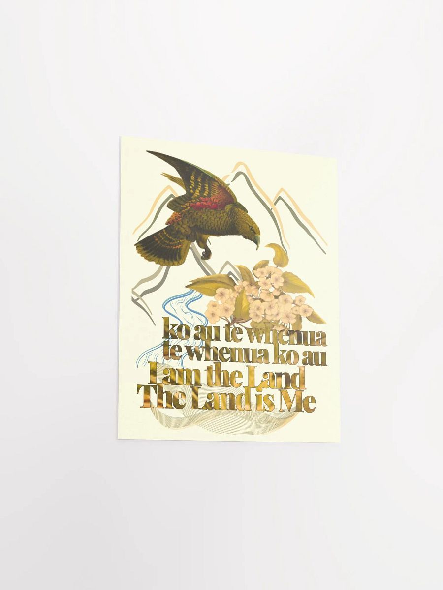 ko au te whenua Kea - Wall Print on Green product image (3)