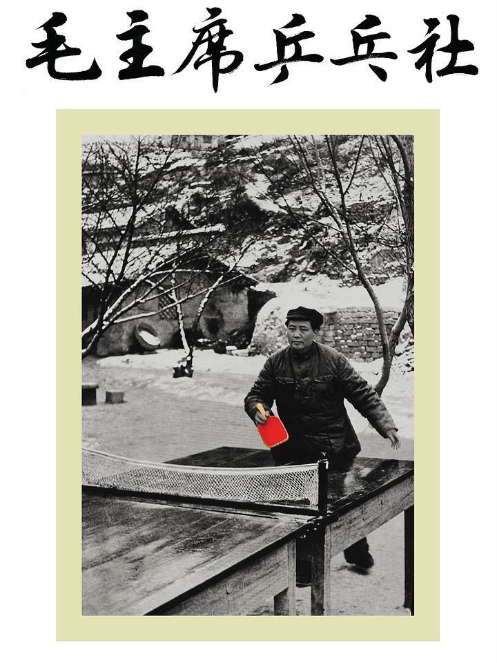 Ping-Mao-Pong T-Shirt product image (2)