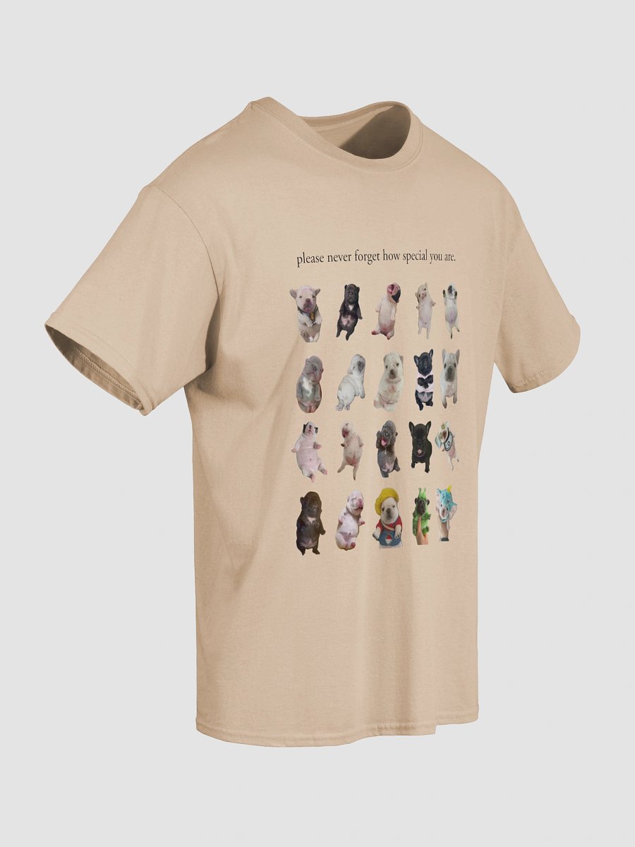 you are so special tee shirt (and backside) - light colors product image (18)