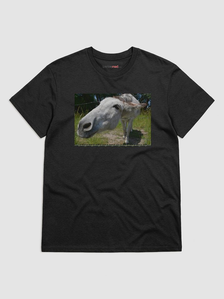 Donkey Says FT LKM Organic Tee product image (6)