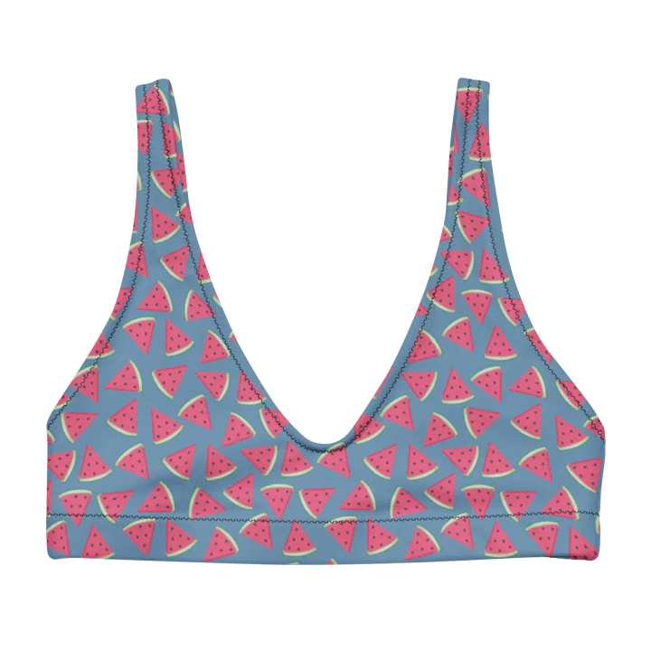 Watermelon Patterns Bikini Top product image (2)