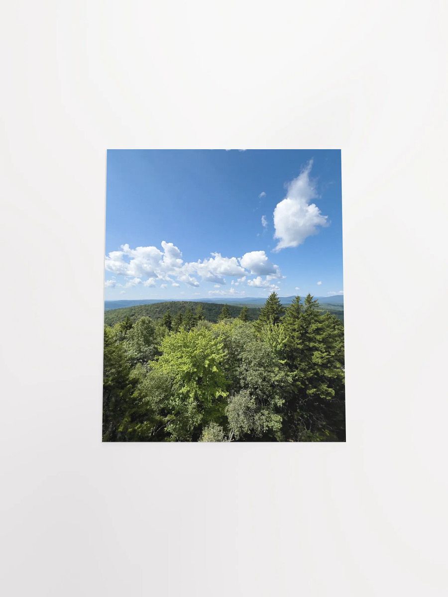 From the Fire Tower (Enhanced Matte Poster) product image (4)