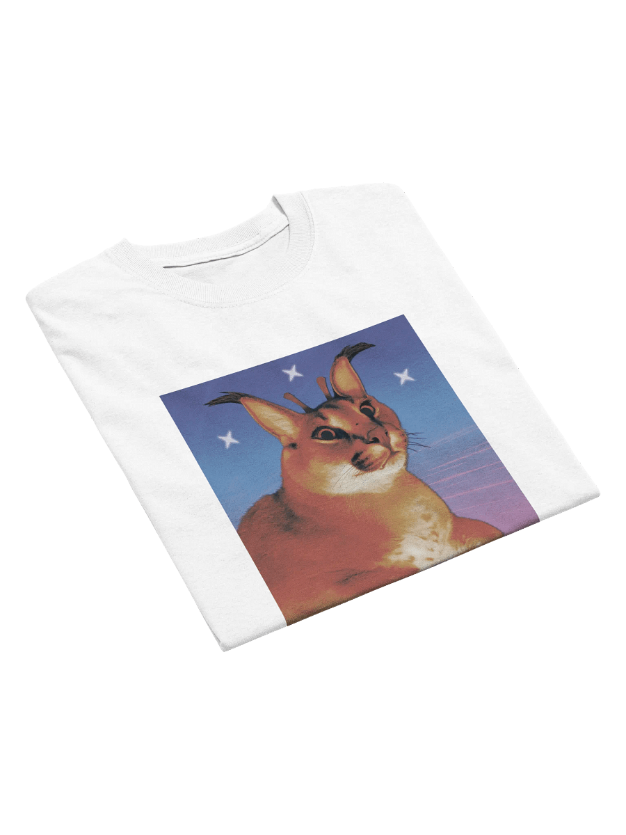 ALIEN FLOPPA MINIMALISTIC TEE (⏃⌰⟟⟒⋏ ⋔⟟⋏⟟⋔⏃⌰⟟⌇⏁⟟☊ ⎎⌰⍜⌿⌿⏃) product image (41)