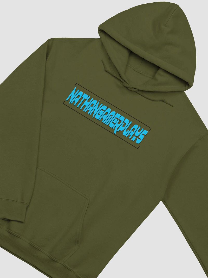 Nathangamerplays Hoodie