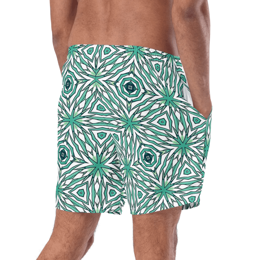 Aqua High Five Swim Trunks product image (4)
