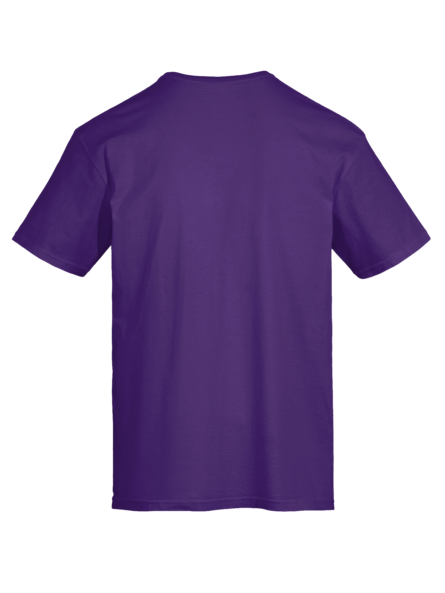 Gar the Great I Want Attention T-Shirt product image (27)