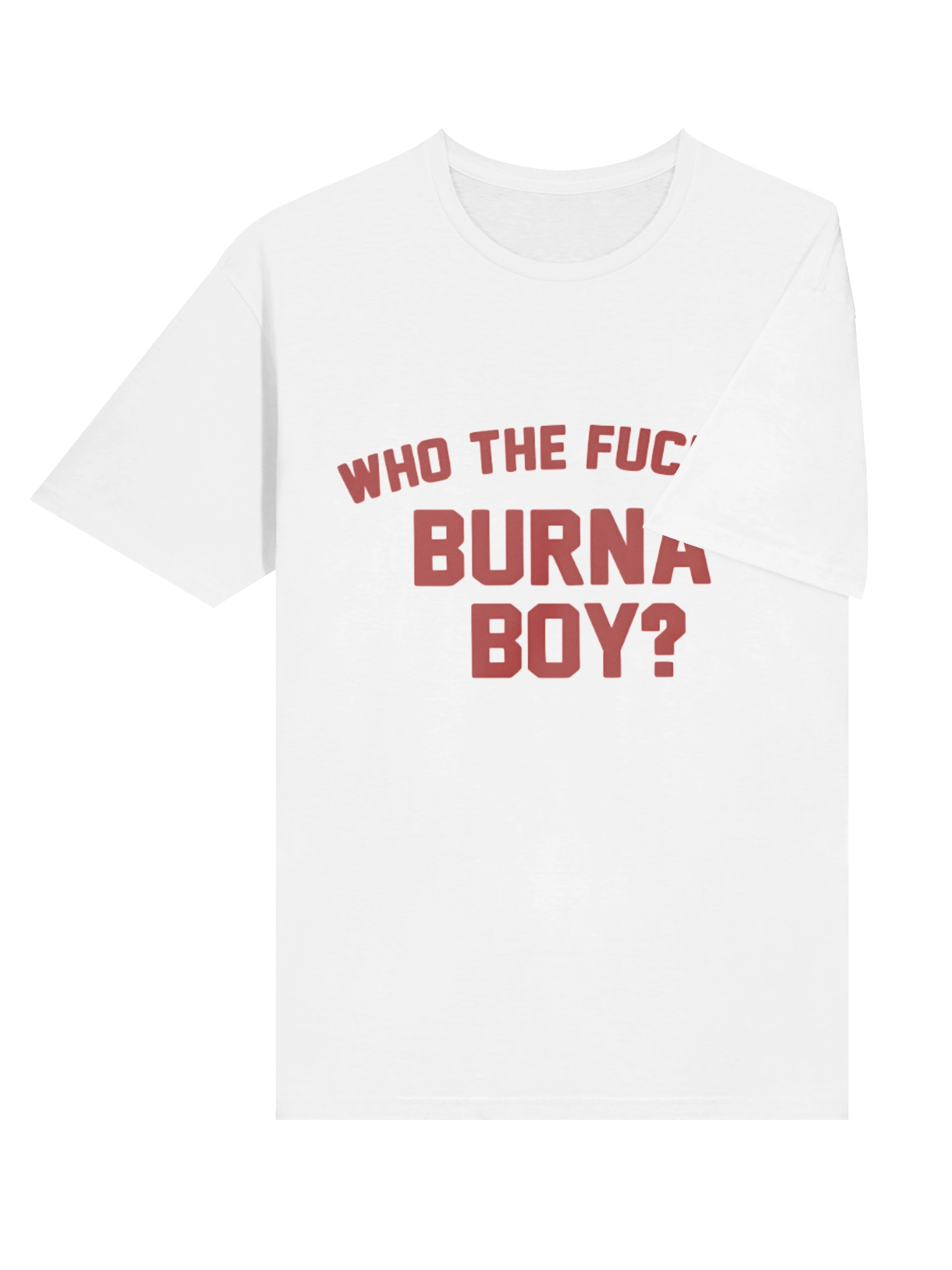 Who the Fuck is Burna Boy? T-Shirt product image (4)
