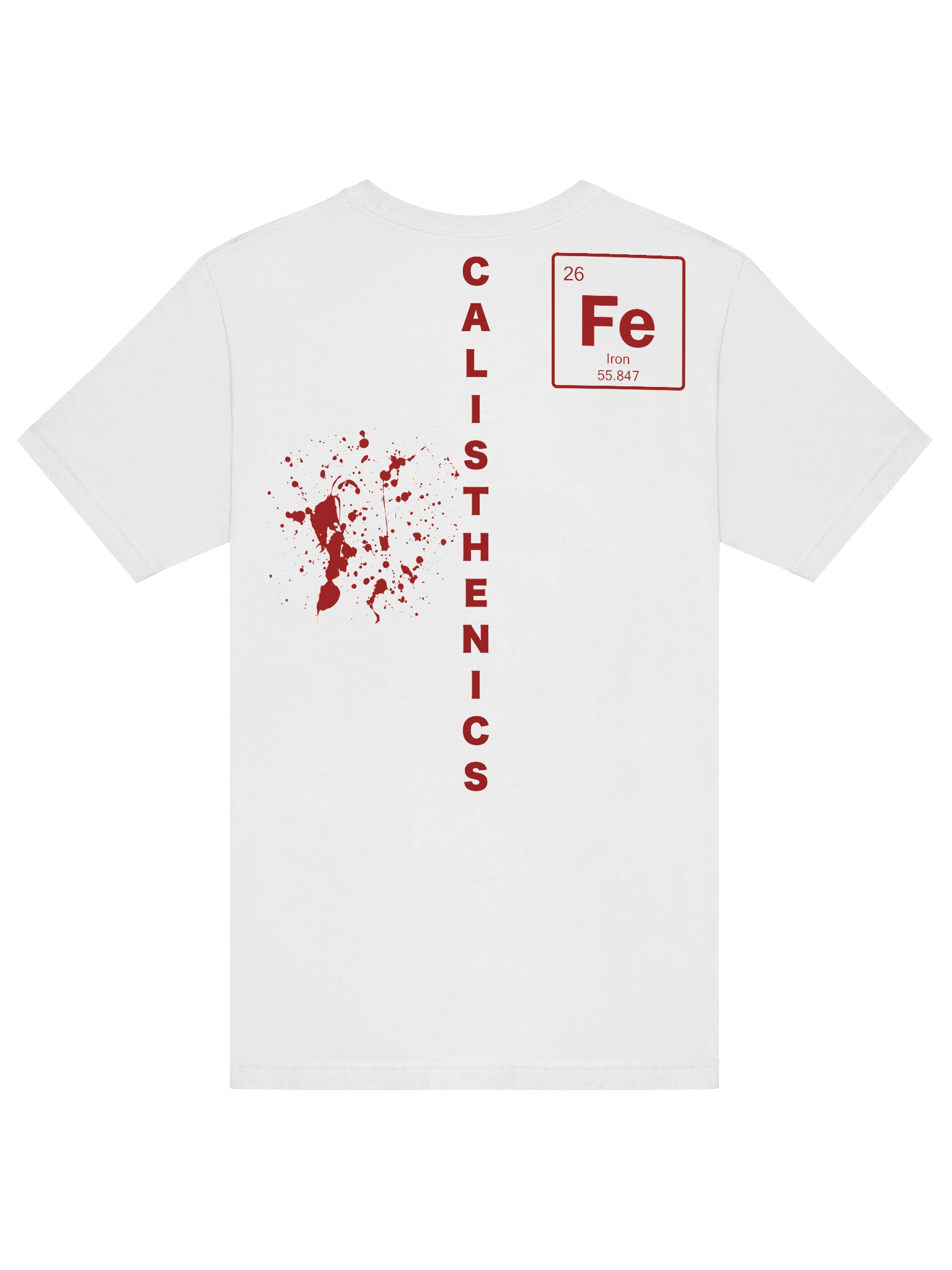 Calisthenics T-Shirt Blood & Iron product image (6)